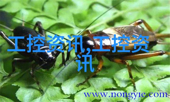 磁致伸缩位移传感器的品牌有哪些一起来看看吧-开地电子